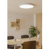 Eglo lights GALLIZZI-Z ceiling light LED white, Colour changer