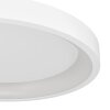 Eglo lights LORETELLO-Z ceiling light LED white, Colour changer
