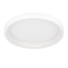 Eglo lights LORETELLO-Z ceiling light LED white, Colour changer