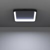 Eglo lights LORETELLO-Z ceiling light LED black, Colour changer