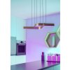 Eglo lights FOLCINO-Z hanging light LED bronze, black, Colour changer