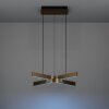Eglo lights FOLCINO-Z hanging light LED bronze, black, Colour changer