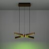 Eglo lights FOLCINO-Z hanging light LED bronze, black, Colour changer