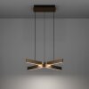 Eglo lights FOLCINO-Z hanging light LED bronze, black, Colour changer