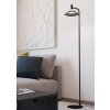 Eglo lights CONOMAVILLA-Z floor lamp LED black, Colour changer