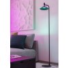 Eglo lights CONOMAVILLA-Z floor lamp LED black, Colour changer