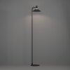 Eglo lights CONOMAVILLA-Z floor lamp LED black, Colour changer