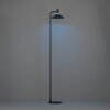 Eglo lights CONOMAVILLA-Z floor lamp LED black, Colour changer