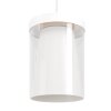 Eglo lights CHIUSELLO-Z hanging light LED white, Colour changer