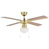 Eglo lights & Ceiling fan light bronzed