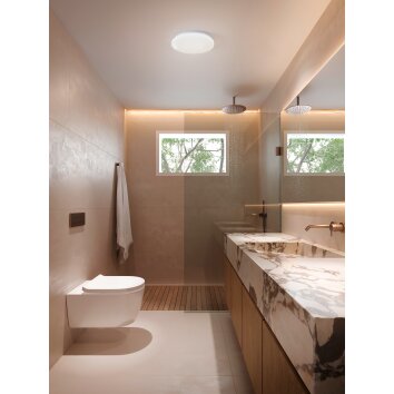 Eglo lights FRANIA-IP ceiling light LED white, Colour changer