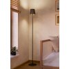 Eglo lights FIORANA floor lamp black