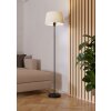 Eglo lights FEBRES floor lamp black