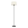 Eglo lights FEBRES floor lamp black