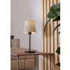 Eglo lights FEBRES table lamp black