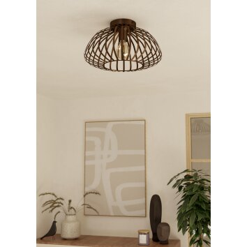 Eglo lights ESPINAL ceiling light bronze