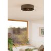 Eglo lights DUAIA ceiling light grey