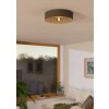 Eglo lights DUAIA ceiling light grey