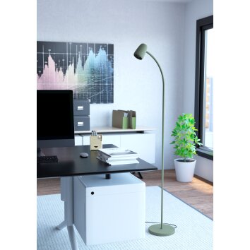 Eglo lights CARLO floor lamp green