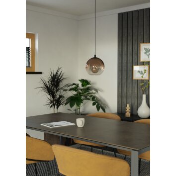 Eglo lights EGLO hanging light black