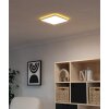 Eglo lights BOTTAZZO ceiling light LED white, Remote control, Colour changer