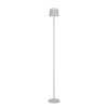 Eglo lights MANNERA-L floor lamp LED grey, Remote control, Colour changer