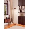 Eglo lights MANNERA-L floor lamp LED rust-coloured, Remote control, Colour changer