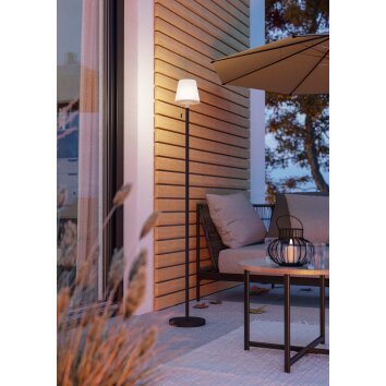 Eglo lights MONTAPALMA-L floor lamp LED black, Remote control, Colour changer