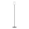 Eglo lights SCORDIANO-L floor lamp LED black, Colour changer