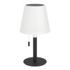 Eglo lights MONTAPALMA table lamp LED black, Remote control, Colour changer