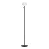 Eglo lights MONTAPALMA-L floor lamp LED black, Remote control, Colour changer