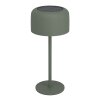 Eglo lights ROCCANOVA table lamp LED green