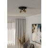 Eglo lights EGLO ceiling light, ceiling spotlight brass, black