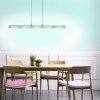 Leuchten Direkt LOLAsmart-NELE Pendant Light LED matt nickel, 5-light sources, Remote control, Colour changer