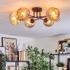 Ripoll ceiling light, globe light Amber, 6-light sources