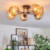 Ripoll ceiling light, globe light Amber, 6-light sources