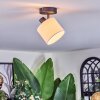 Bassagoda ceiling light, ceiling spotlight black, 1-light source