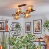 Gastor ceiling light, globe light gold, black, 8-light sources