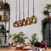 Ripoll hanging light, globe light, pendant light Ecru, black, 5-light sources