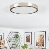 Finsrud ceiling light, Panel LED matt nickel, 1-light source