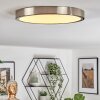 Finsrud ceiling light, Panel LED matt nickel, 1-light source