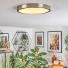 Finsrud ceiling light, Panel LED matt nickel, 1-light source