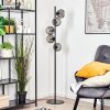 Koyoto globe light, floor lamp Smoke-coloured, 5-light sources