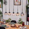 Ripoll hanging light, globe light, pendant light Ecru, black, 5-light sources