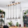 Ripoll hanging light, globe light, pendant light Ecru, black, 5-light sources