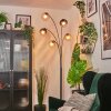 Koyoto globe light, floor lamp Amber, clear, Smoke-coloured, 5-light sources