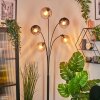 Koyoto globe light, floor lamp Amber, clear, Smoke-coloured, 5-light sources