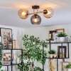 Koyoto ceiling light, globe light gold, black, 3-light sources