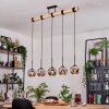 Ripoll hanging light, globe light, pendant light Ecru, black, 5-light sources