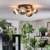 Chehalis ceiling light, globe light Smoke-coloured, 4-light sources
